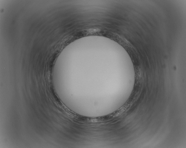 X0000076450565200610061048