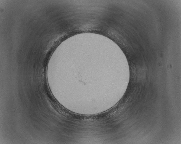 X0000076450592200610061047