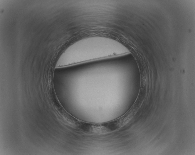X0000076450605200610061047
