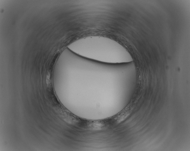 X0000076450610200610061047