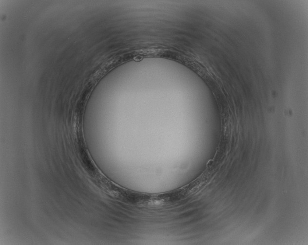 X0000076450647200610061046