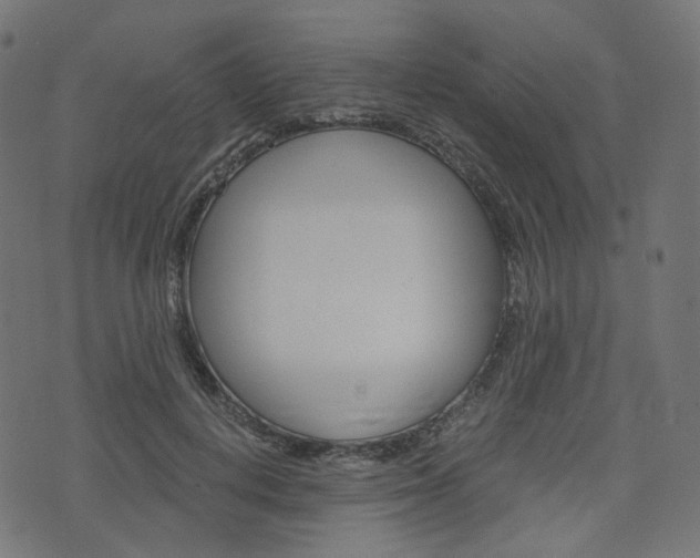 X0000076450648200610061046