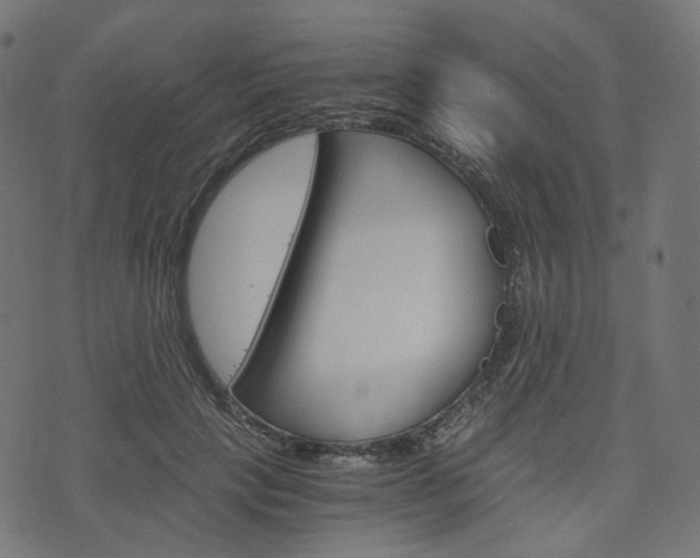 X0000076450649200610061046