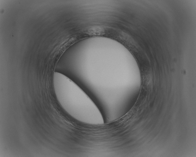 X0000076450652200610061046