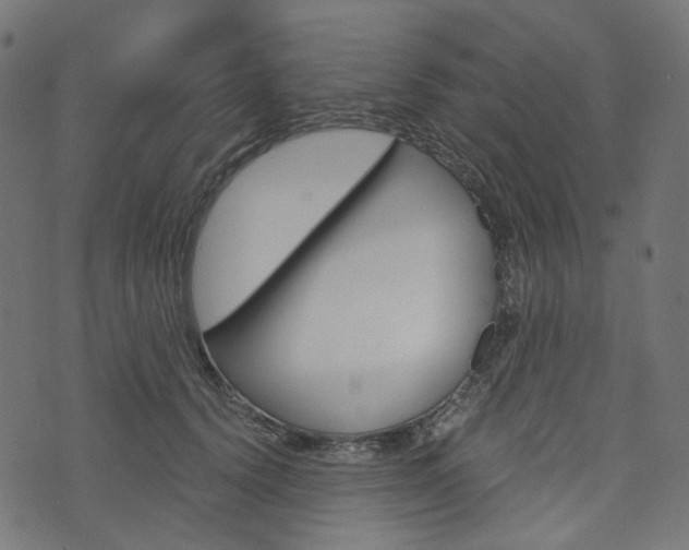 X0000076450656200610061047