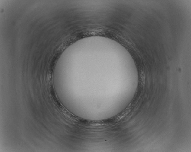 X0000076450657200610061047