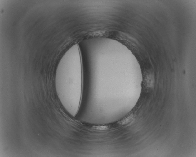 X0000076450665200610061047