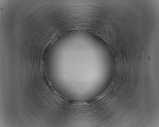 X0000076450712200610061045