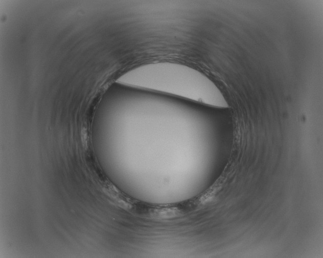X0000076450716200610061045