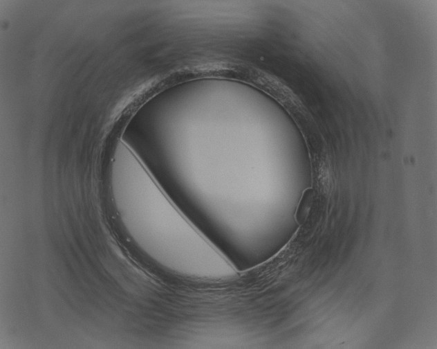 X0000076450732200610061045