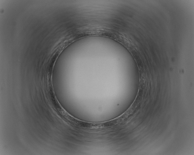 X0000076450744200610061045