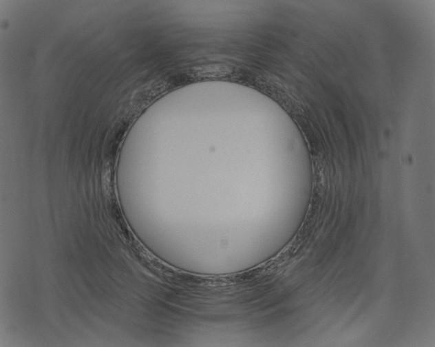 X0000076450745200610061045