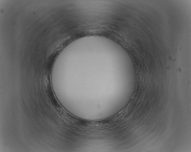 X0000076450746200610061045