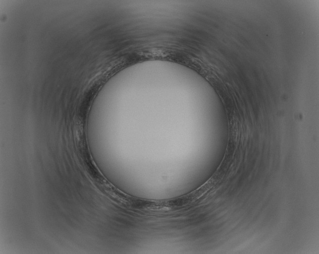 X0000076450747200610061045