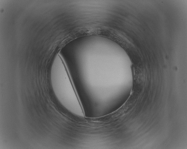 X0000076450748200610061045