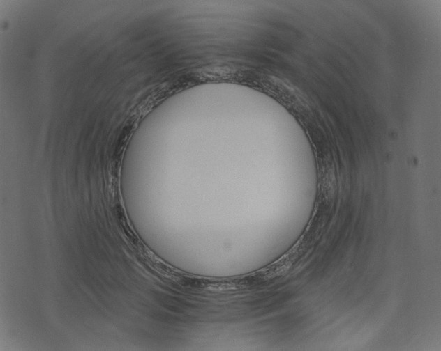 X0000076450749200610061045