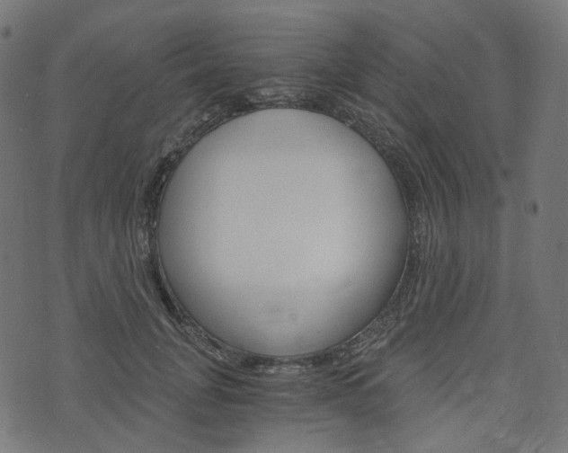 X0000076450751200610061045