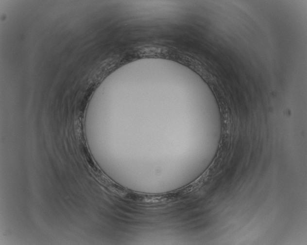 X0000076450753200610061045