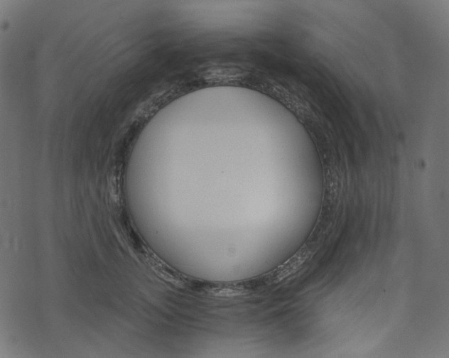 X0000076450755200610061045