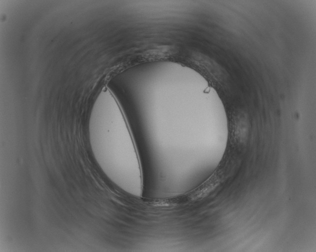 X0000076450759200610061045
