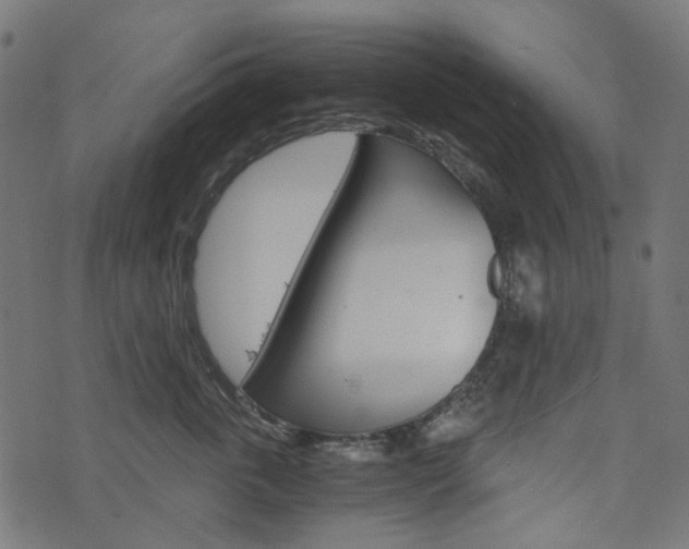 X0000076450763200610061045