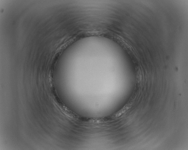 X0000076450764200610061045