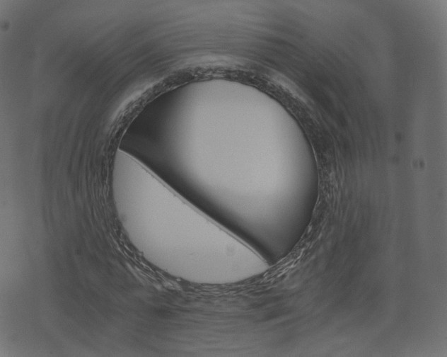 X0000076450775200610061044