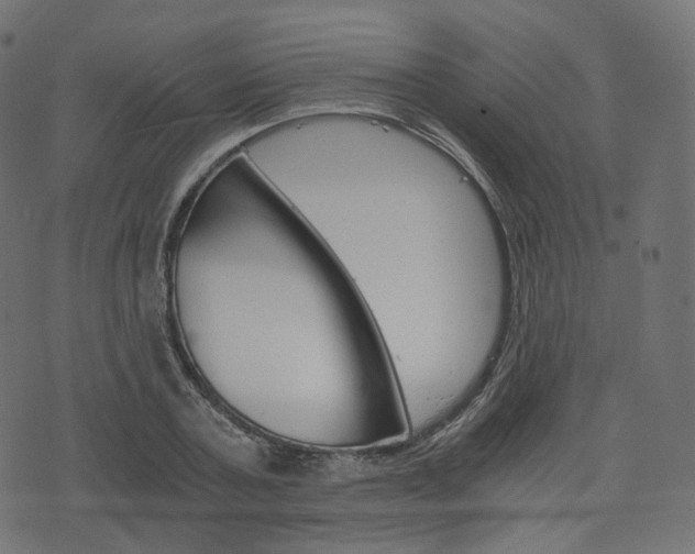 X0000076450787200610061044