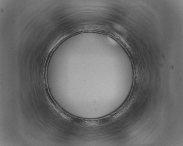 X0000076450794200610061044