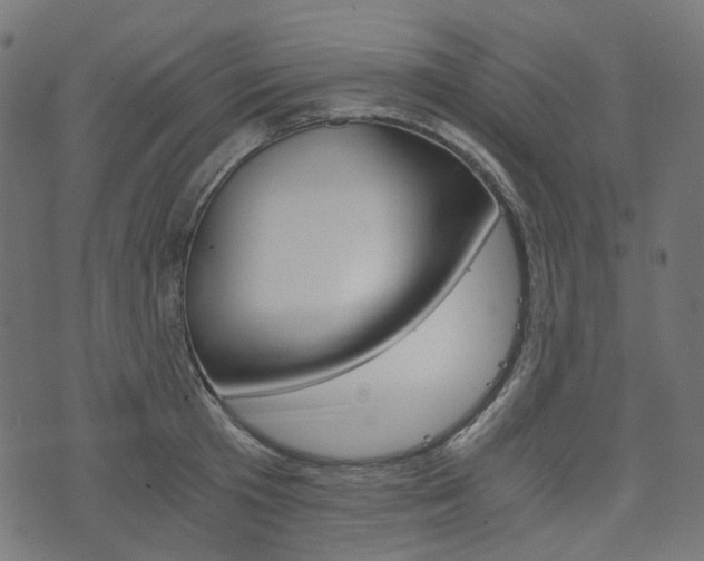 X0000076450801200610061044