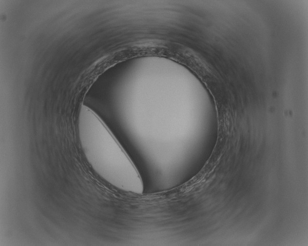 X0000076450821200610061043