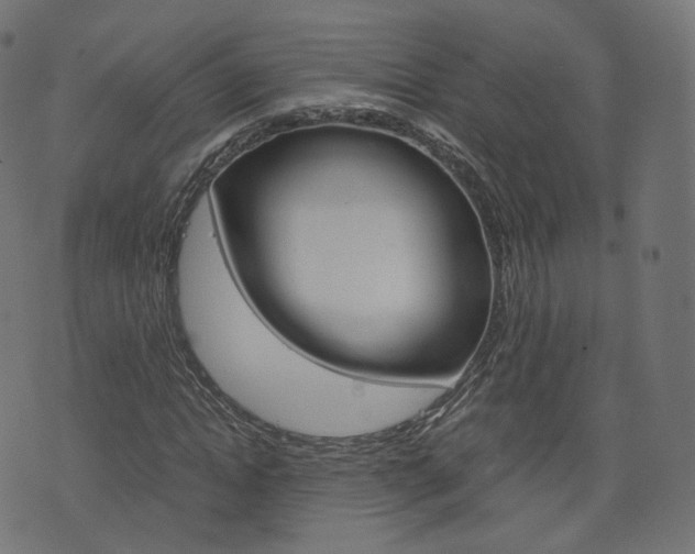 X0000076450822200610061043