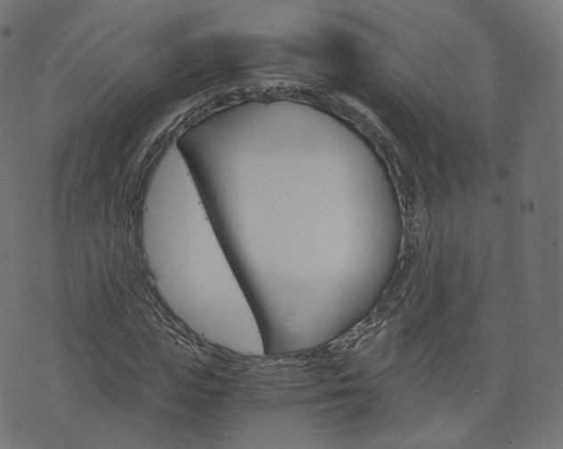 X0000076450823200610061043