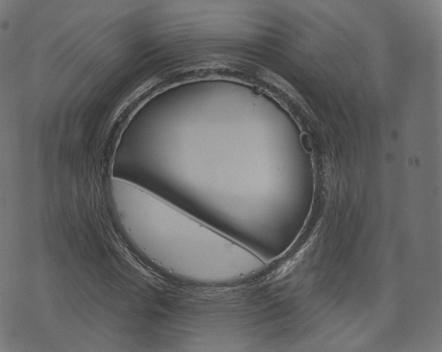 X0000076450826200610061043