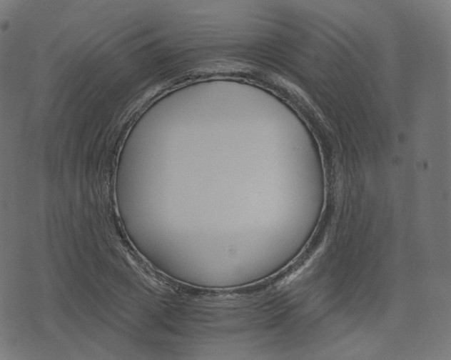 X0000076450833200610061043