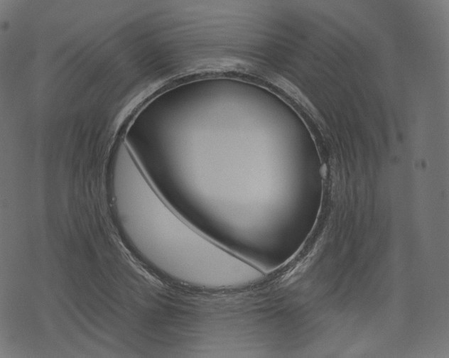 X0000076450834200610061043
