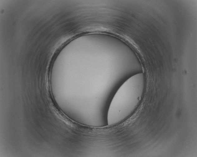X0000076450840200610061043
