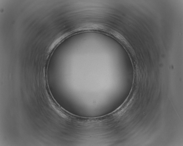 X0000076450842200610061043