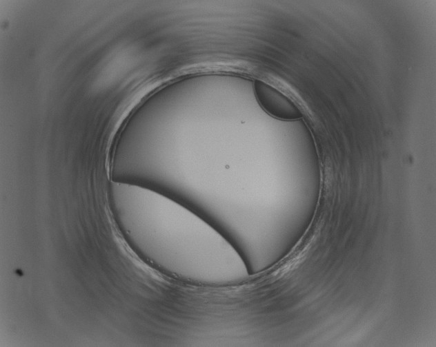 X0000076450844200610061043