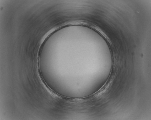 X0000076450853200610061043