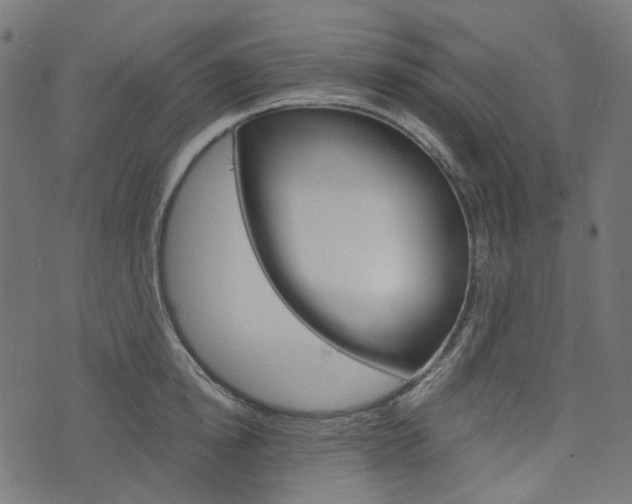 X0000076450854200610061043