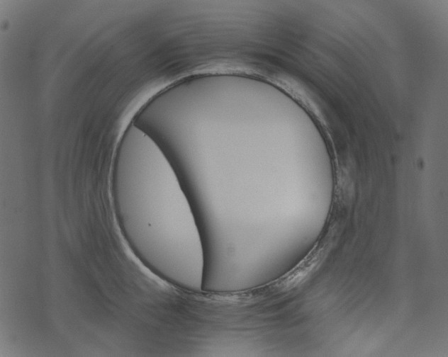 X0000076450855200610061043