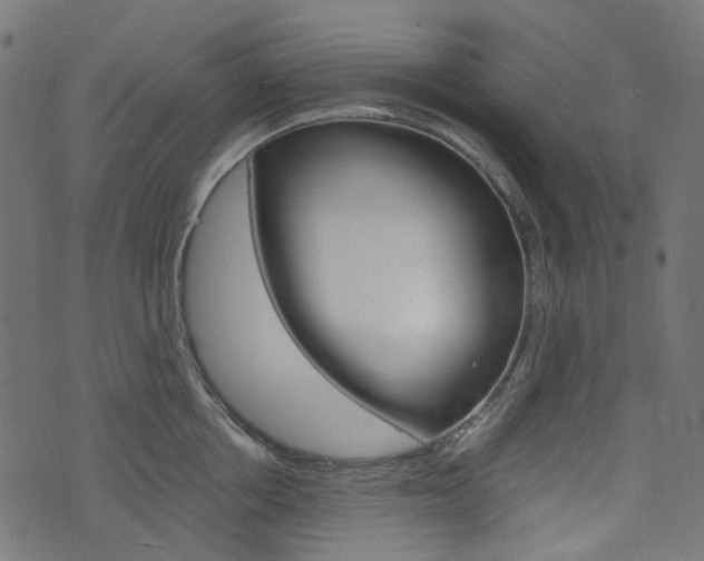 X0000076450858200610061044
