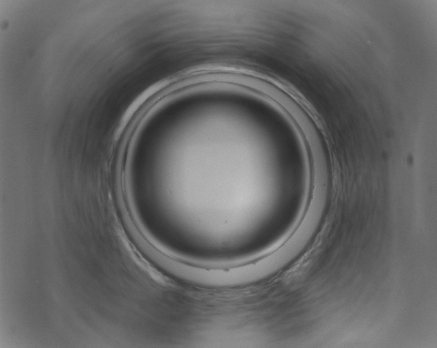 X0000076450862200610061044