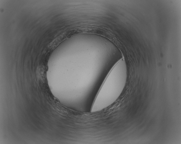 X0000076450867200610061043