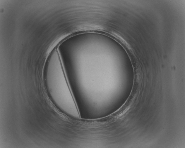 X0000076450885200610061042