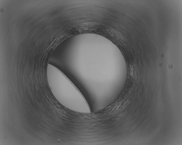 X0000076450915200610061041