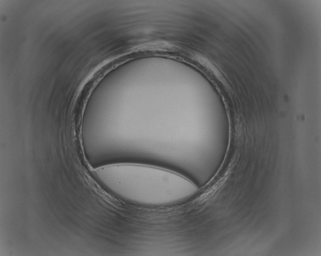 X0000076450923200610061041