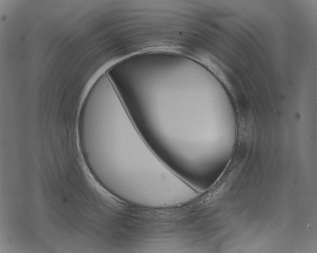 X0000076450955200610061042