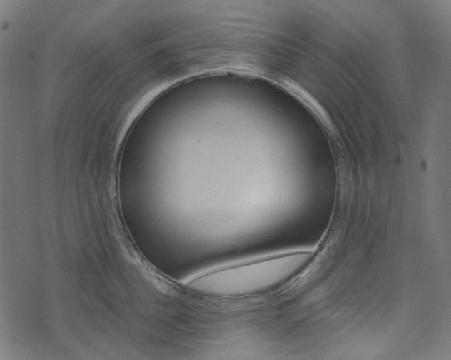 X0000076450956200610061042